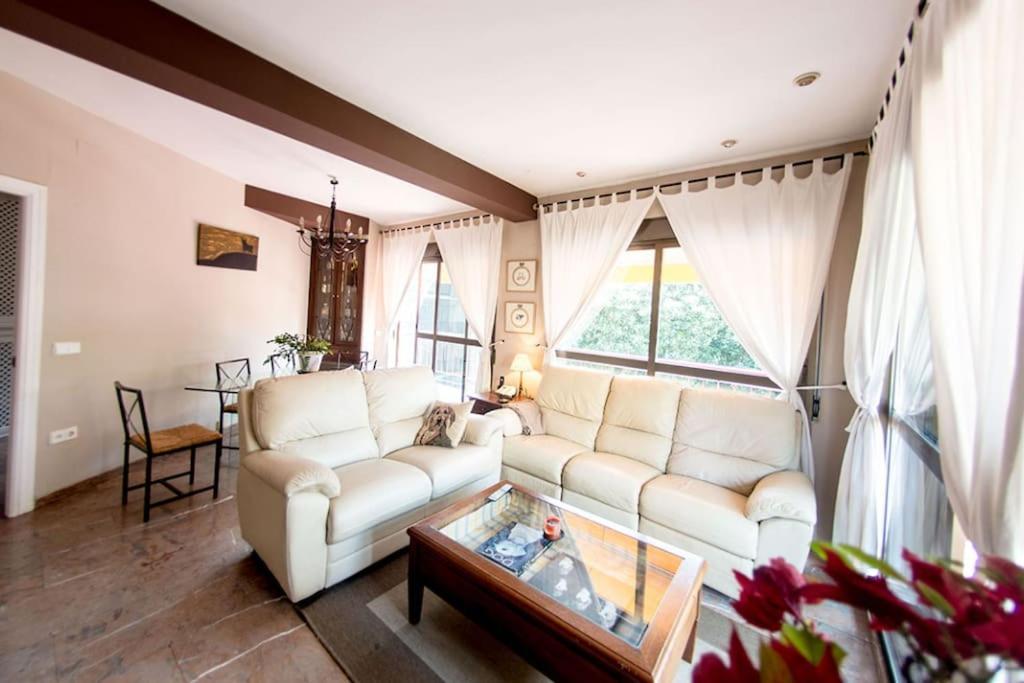 Penthouse!!! Center Of Seville!!! 2 Bedroom + 2 Bath!!! Eksteriør billede