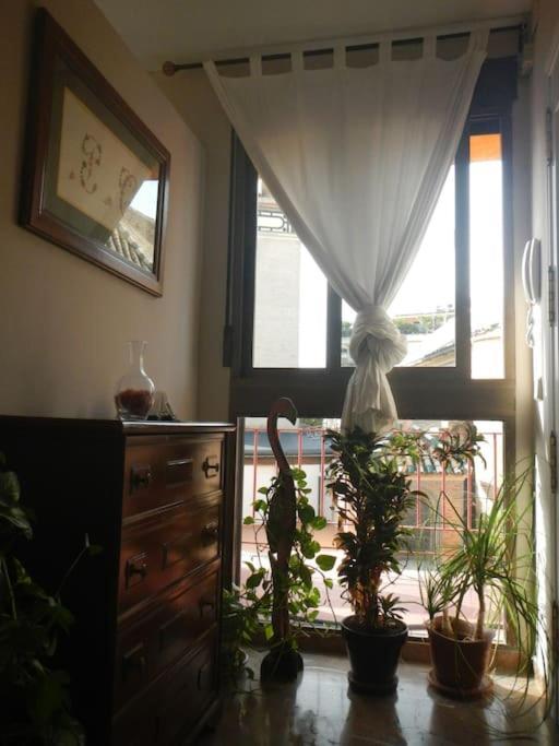 Penthouse!!! Center Of Seville!!! 2 Bedroom + 2 Bath!!! Eksteriør billede