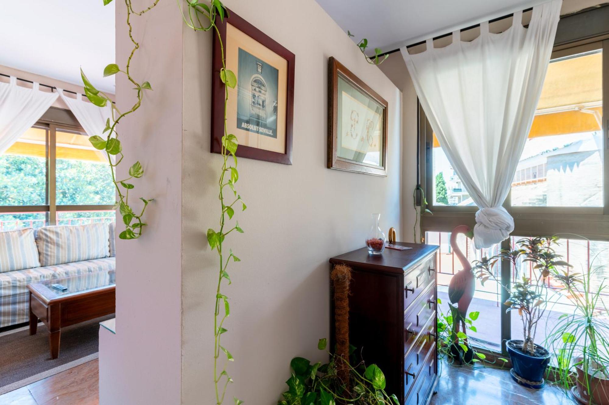 Penthouse!!! Center Of Seville!!! 2 Bedroom + 2 Bath!!! Eksteriør billede